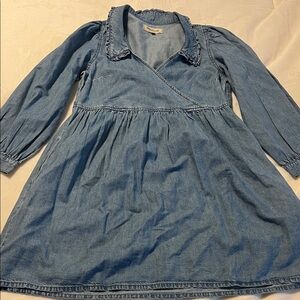 Madewell Denim Long Sleeve Dress